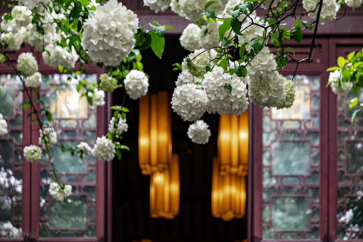 南京旅游攻略景点必去免门票,南京免费游玩景点推荐攻略