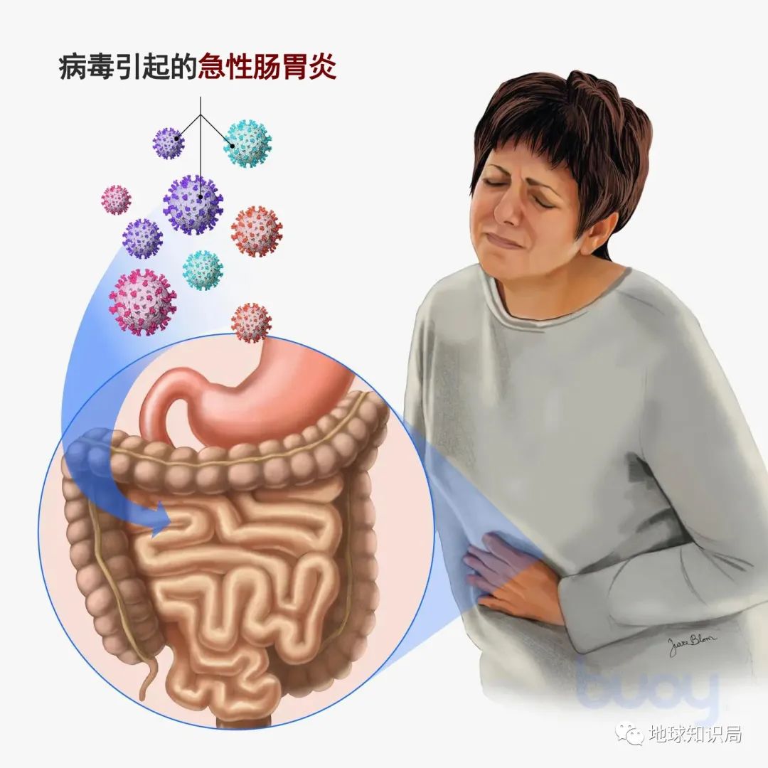 为啥有人喜欢吃没洗干净的猪大肠,猪大肠为什么不洗干净