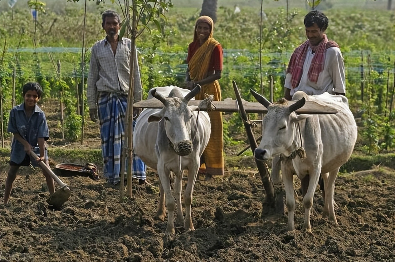 印度无法崛起的三个因素,印度为什么无法超过英国