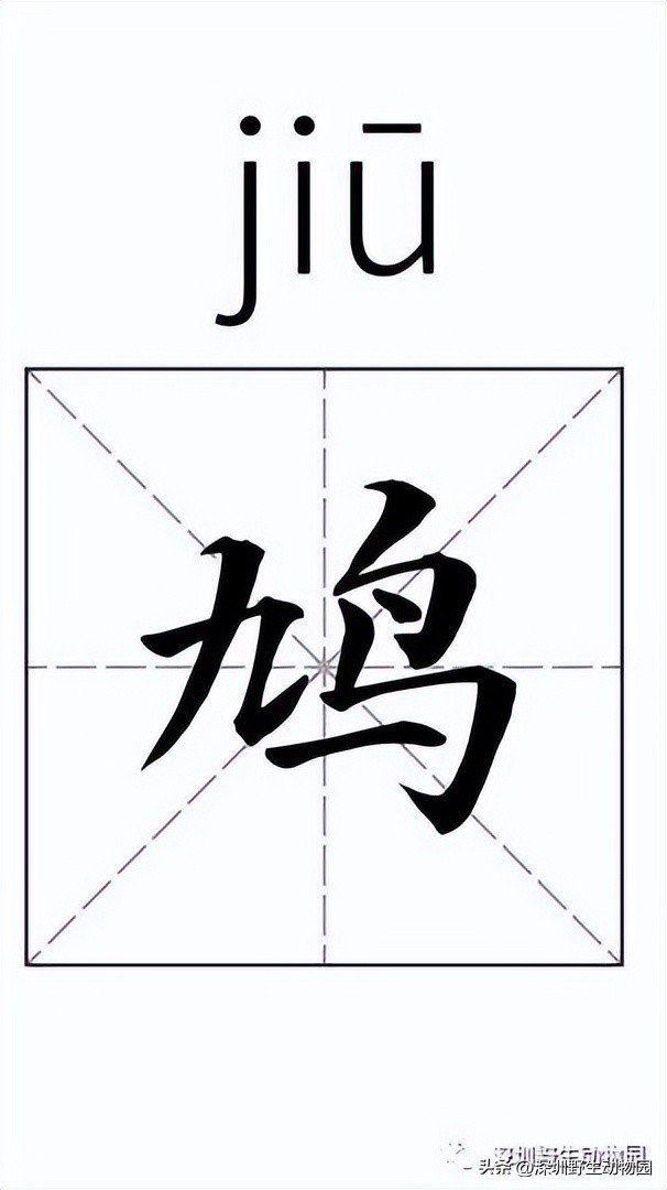 苗鸟小学,苗鸟念什么