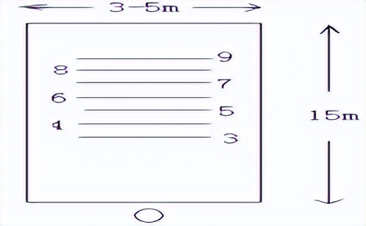 连云港体育免考改缓考,耐久跑中考