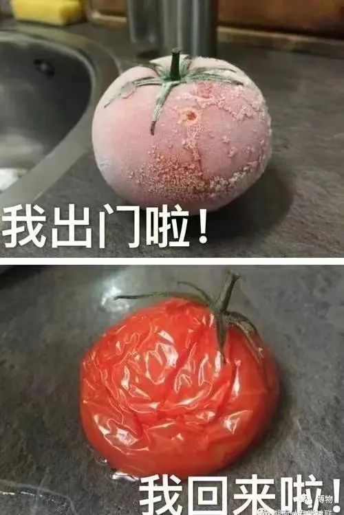 一滴眼药水就能改变近视,眼药水对近视增长有用吗