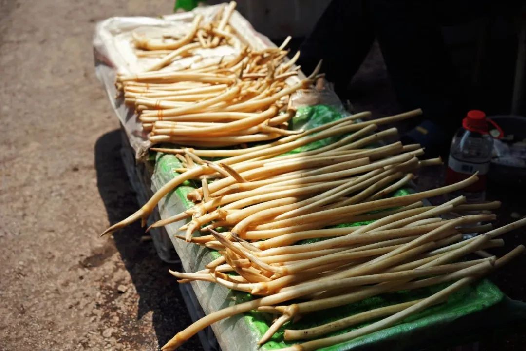 第N次按头安利,这座城市为了吃也得去一趟