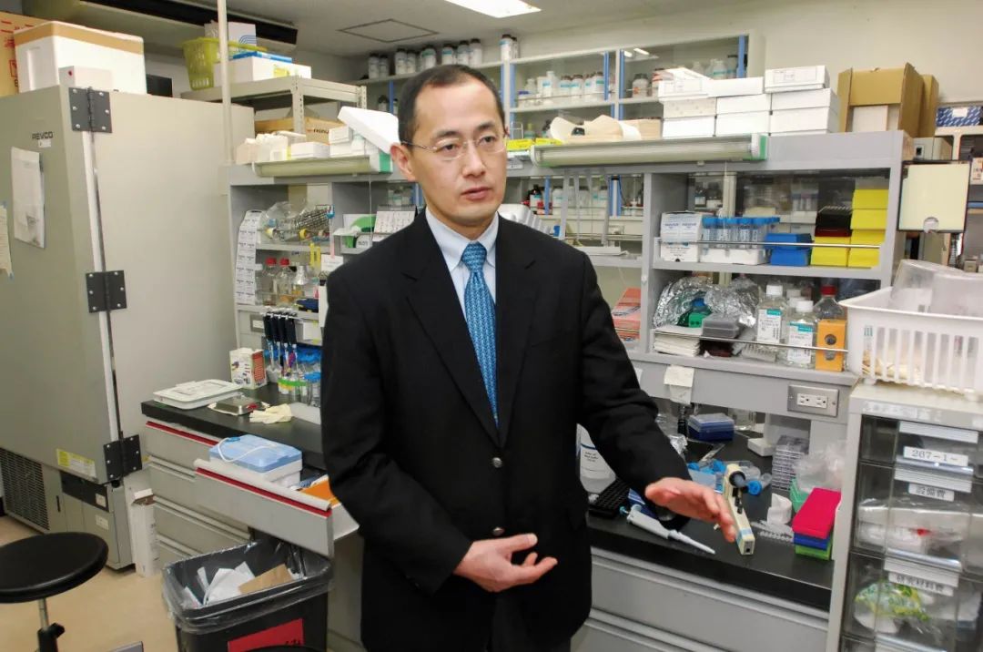 日本人动物胚胎实验长啥样,日本人动物胚胎实验