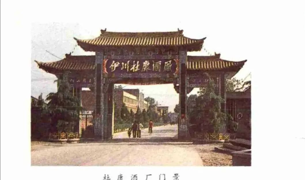 杜康100年传奇珍藏版,杜康50斤坛装酒价格