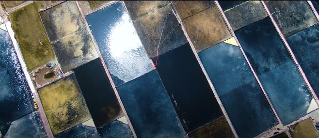 为什么乐清东西那么贵,为什么叫乐清这个名字