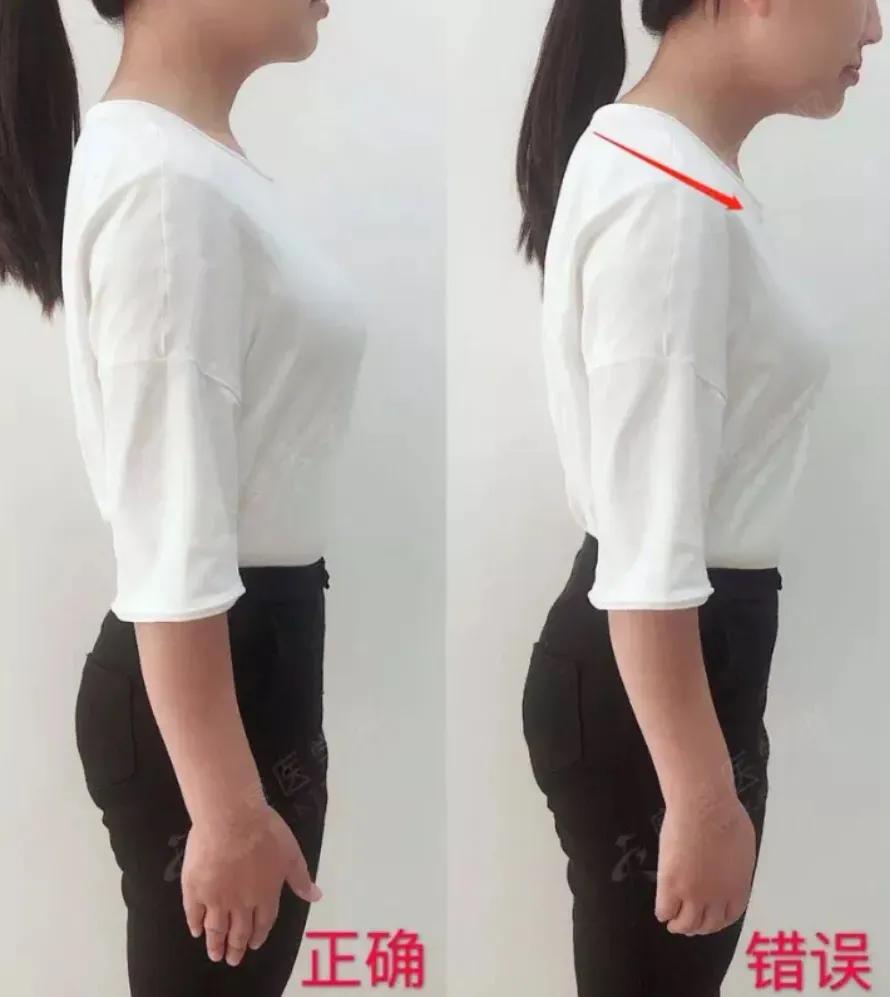 背越练越薄的动作,练背的9个经典动作