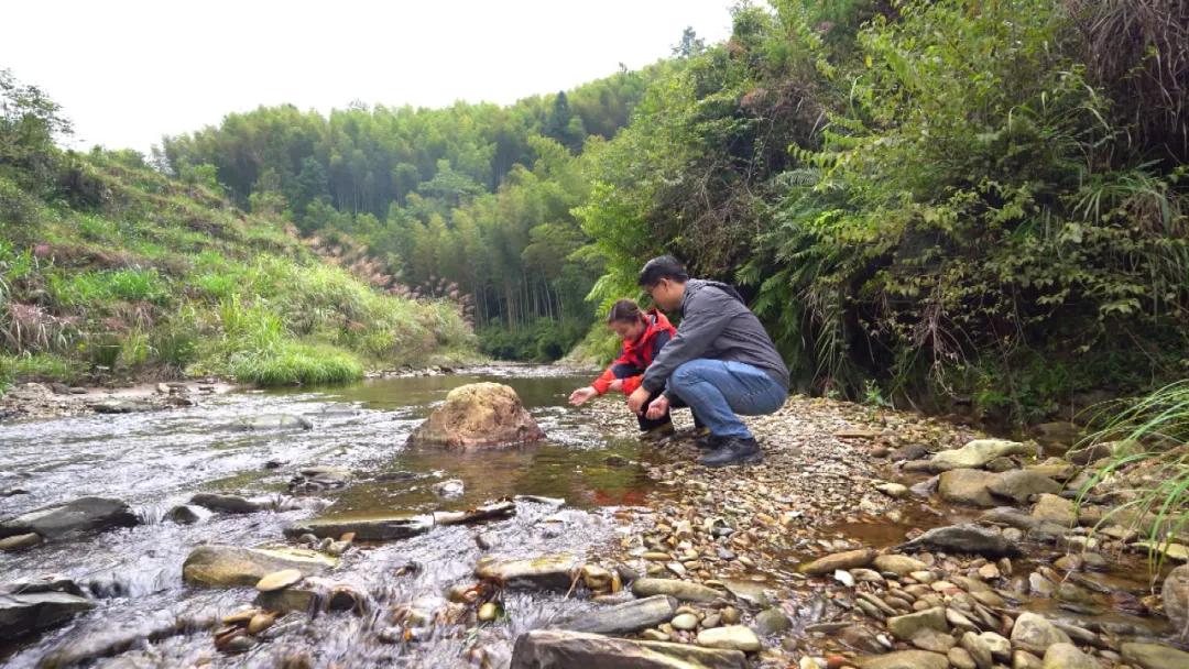 高山溪流冷水鱼怎么钓,山区冷水鱼养殖技术