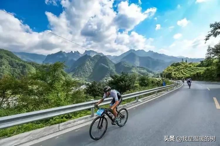 怎么区别山地车的级别,什么车算山地车
