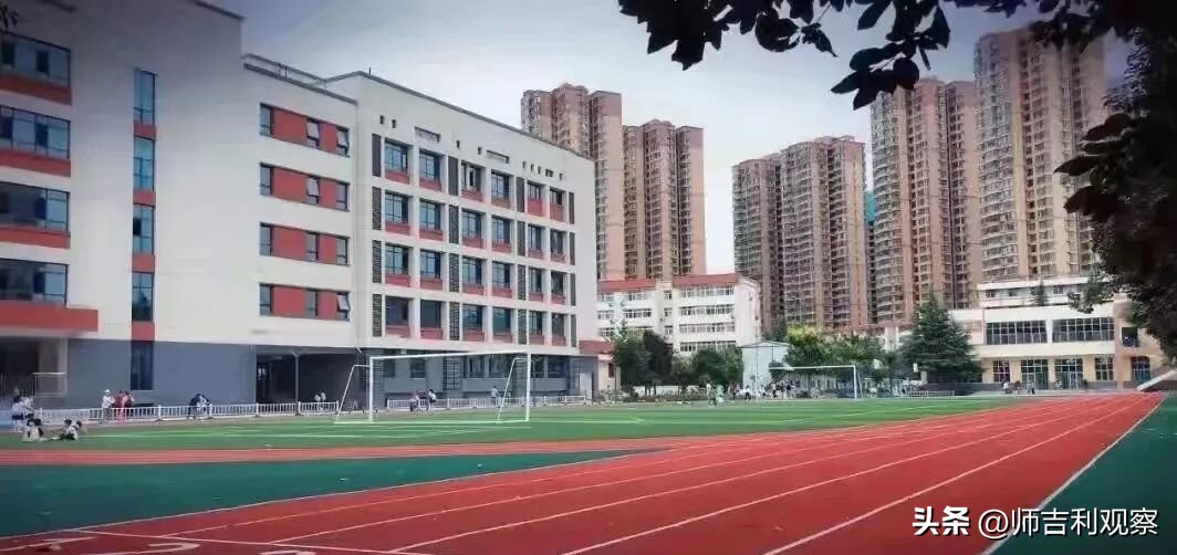 数学思维导图活动大赛活动总结,数学思维导图活动