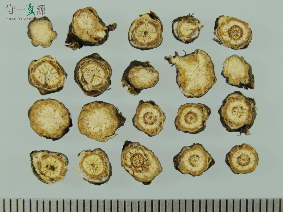 中药鉴定真假找谁,柴胡真假优劣鉴别