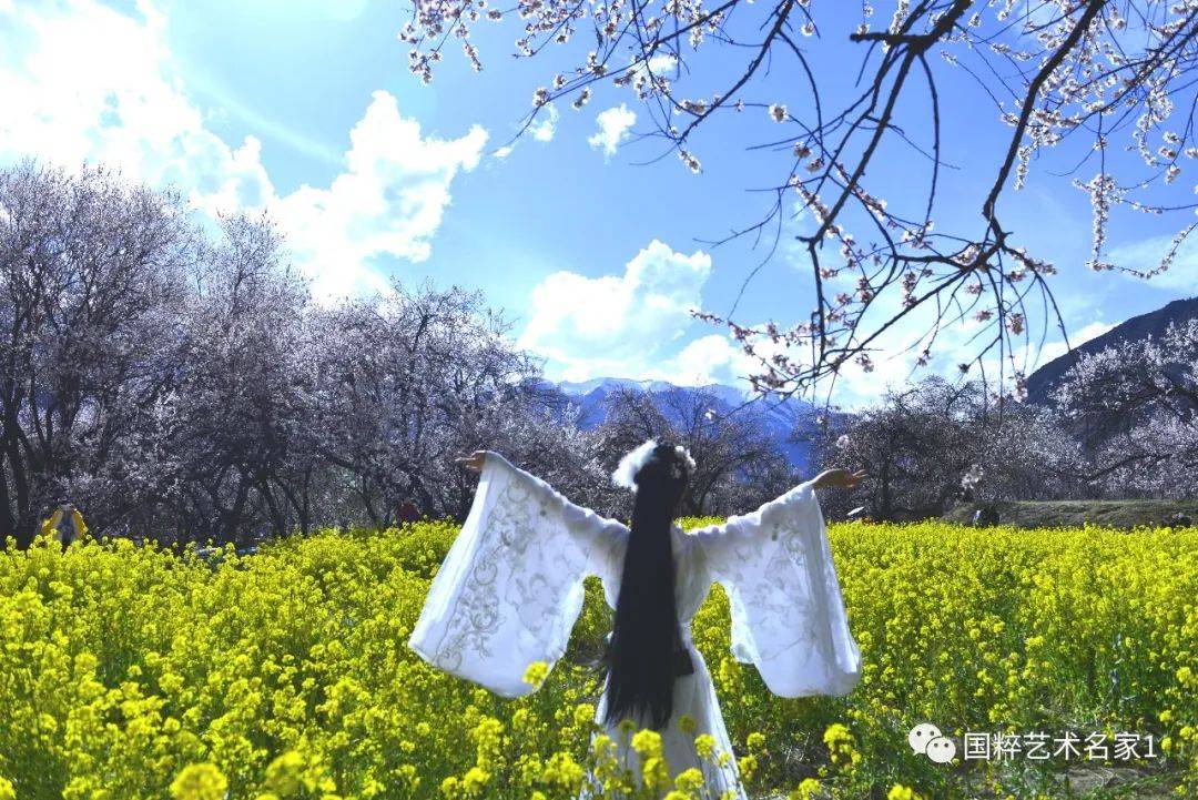 潍坊学院董俊青,国粹艺术名家董德元