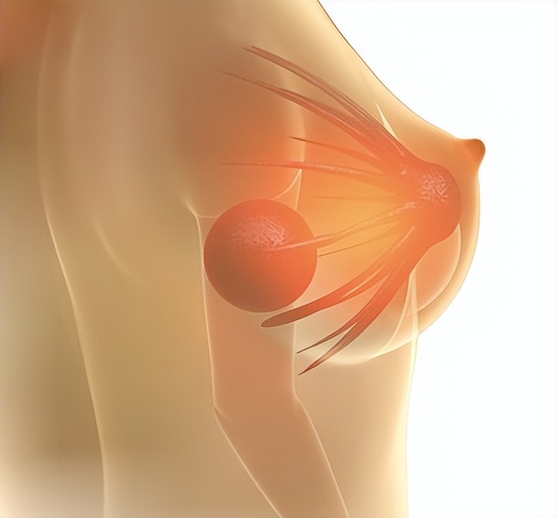 性激素结合球蛋白“异常”会有哪些潜在危害？