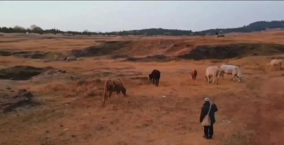 沭阳三座山的故事,沭阳以前有山吗