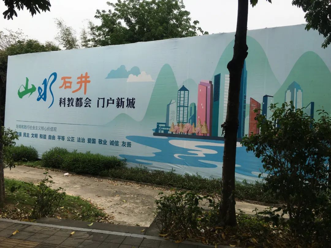 旭光车行雅迪电动车,旭光单车