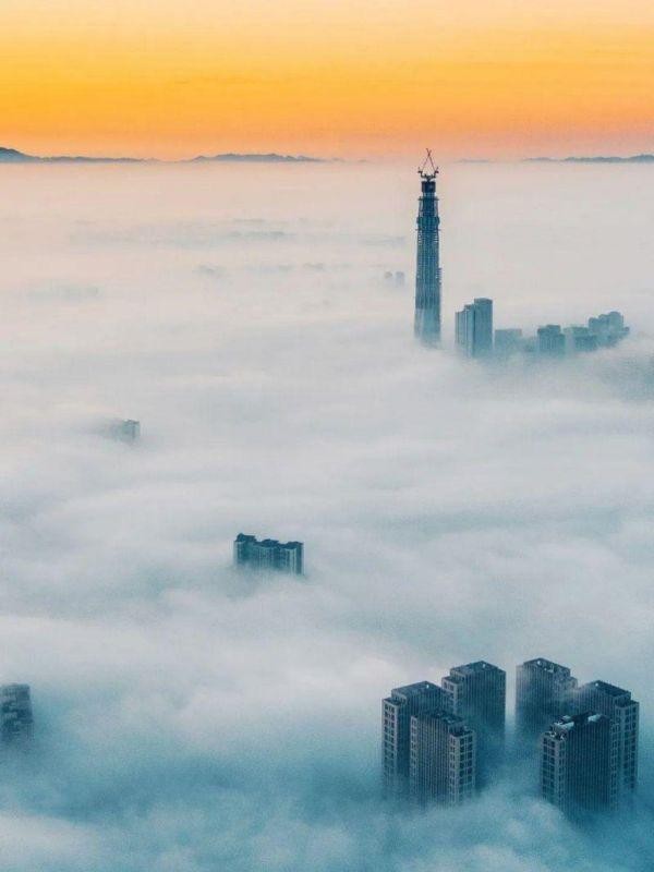 中科院微生物研究所白逢彦,中科院微生物研究所食用菌种