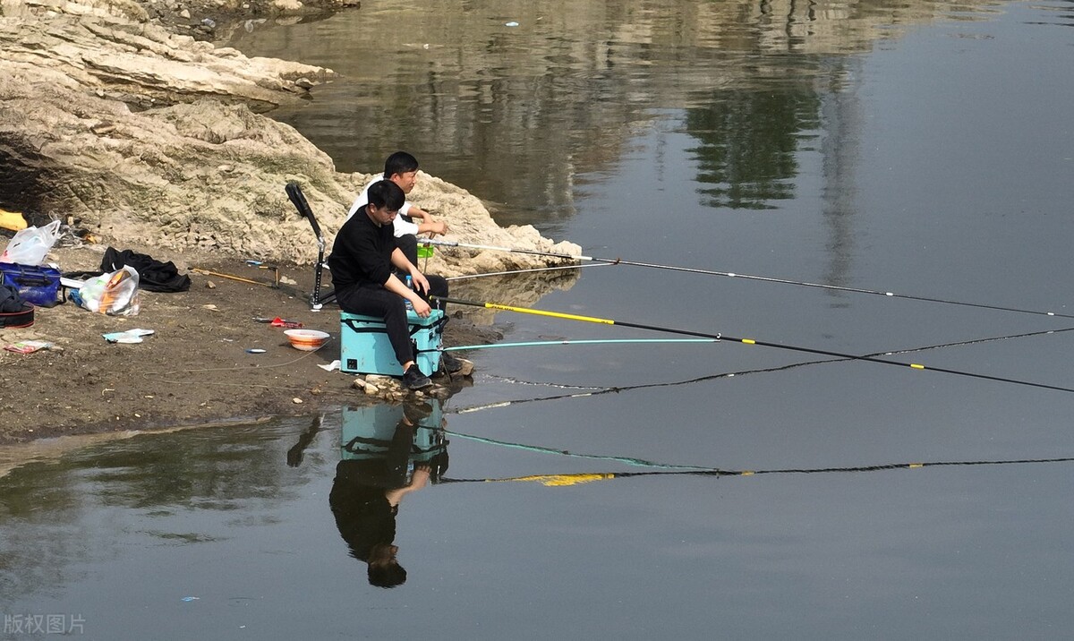 钓鱼野钓发家致富,农村小伙钓鱼直播间