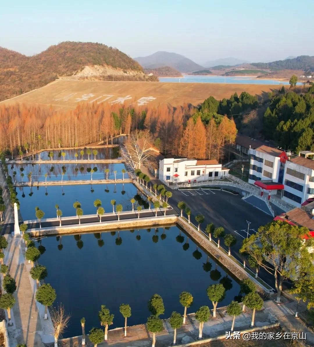 此心安处是吾乡的意思,此心安处是吾乡完整版