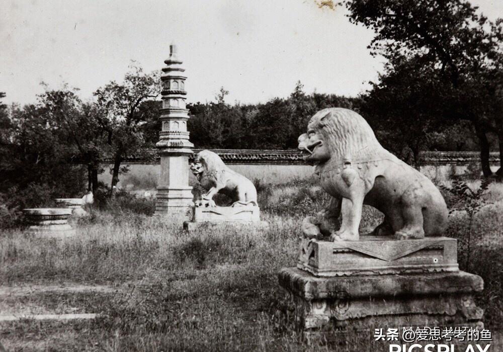 娓呭绉樺彶鍥剧墖澶у叏,娓呮湞瀹环绉樺彶鍥剧墖