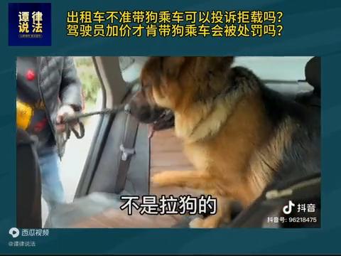 滴滴车因为带狗拒载还要收费,乘客带狗滴滴拒载被投诉