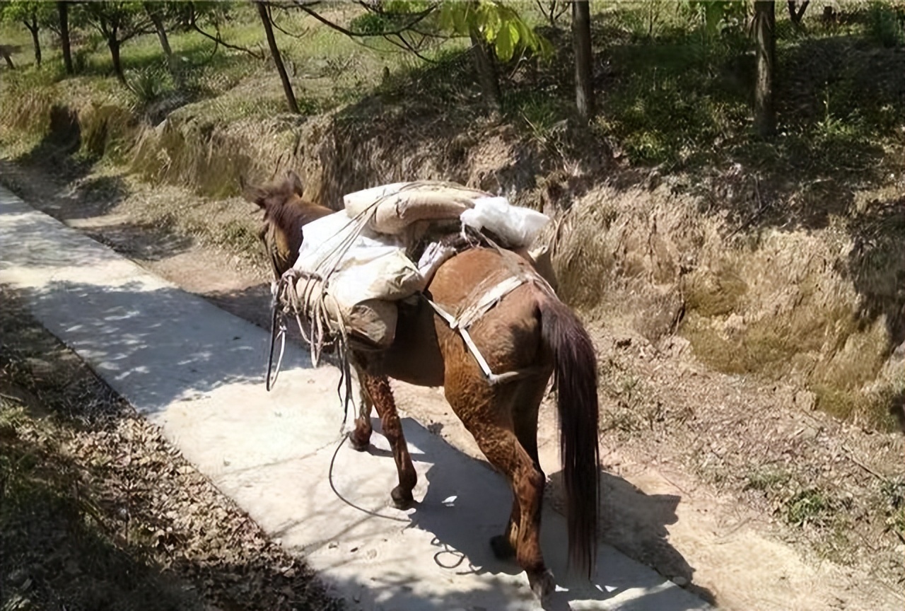 “大邱庄土皇帝”禹作敏：改革功臣锒铛入狱，他的故事你无法想象