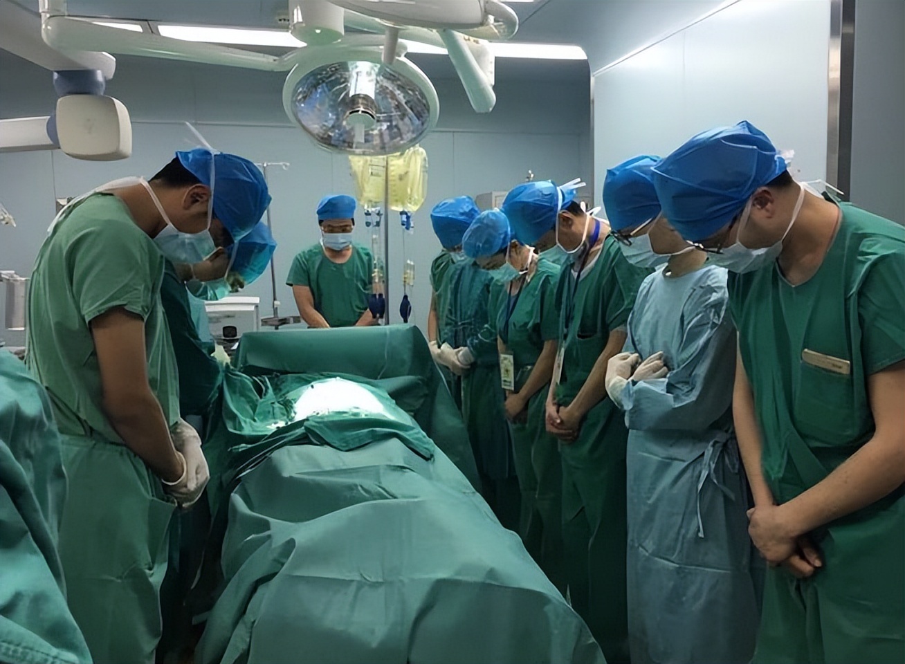 人体遗体捐献做标本有没有补偿,标本制作师工作