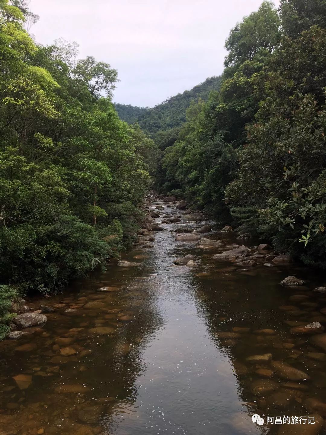 广西十万大山国家森林公园,广西十万大山国家森林公园图片