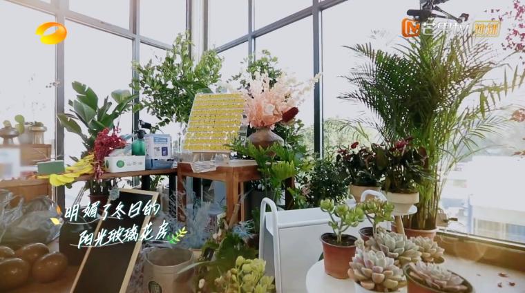 云上的小店第二季的小店开在哪里,云上的小店周几开业