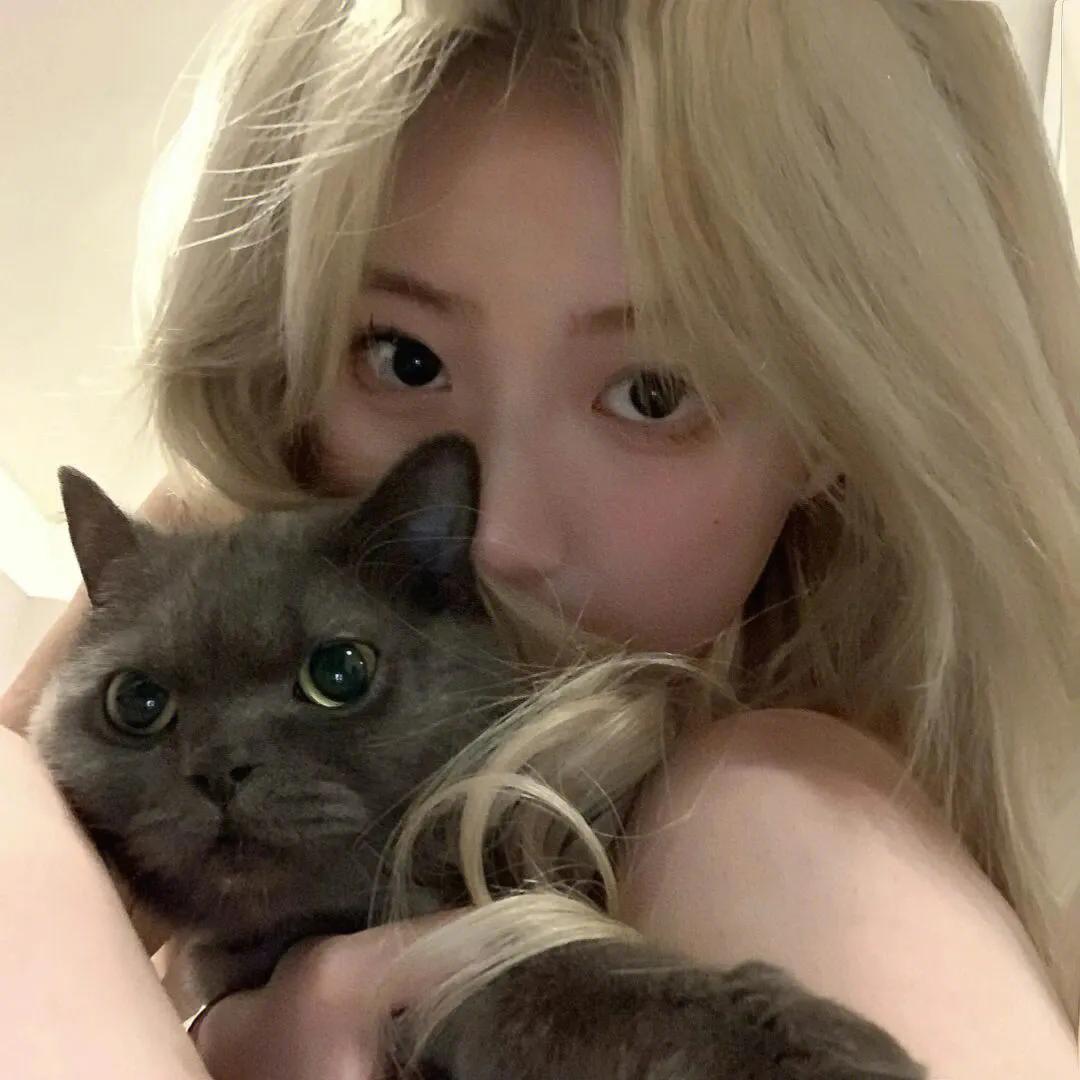 以徐字为名的简短网名谐音梗,最近很火的谐音梗姓氏张网名