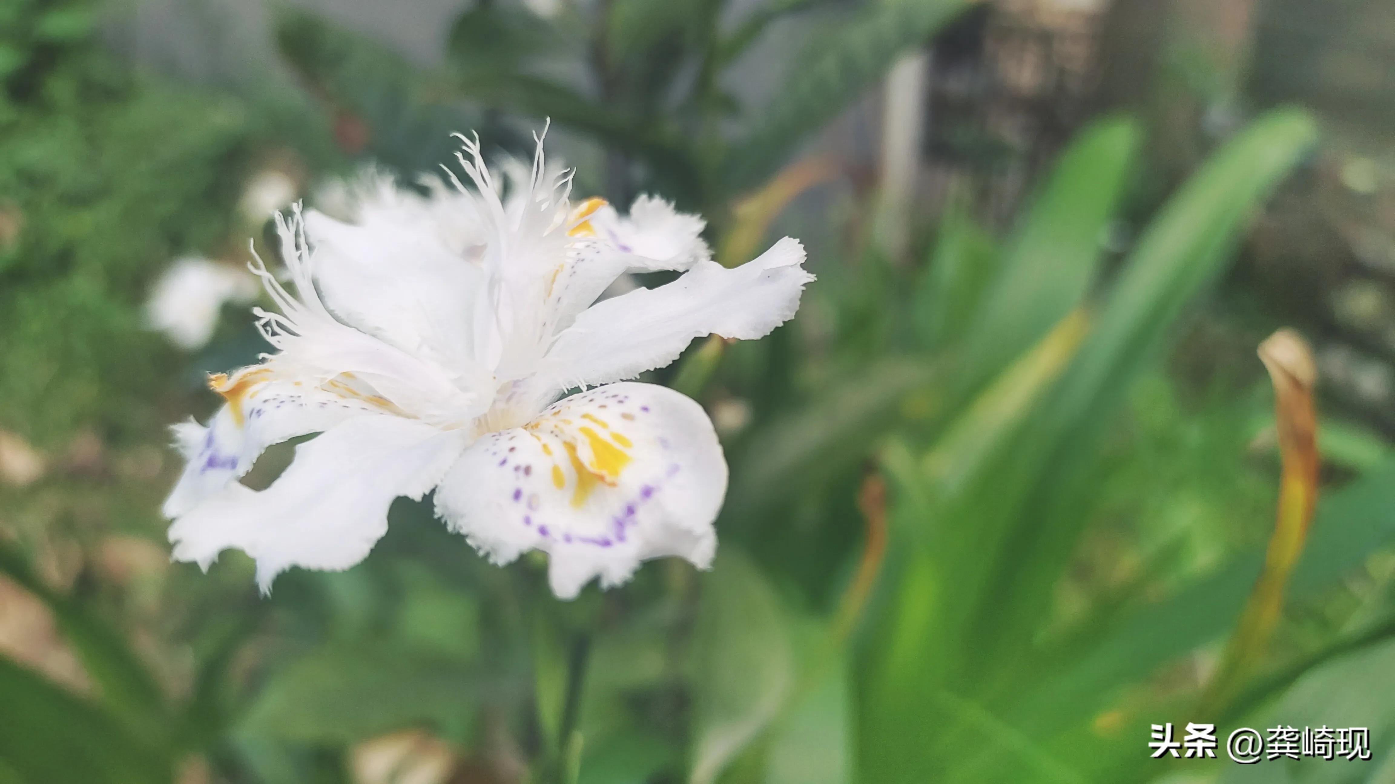 策划运作商业模式,策划商业模式要注意什么