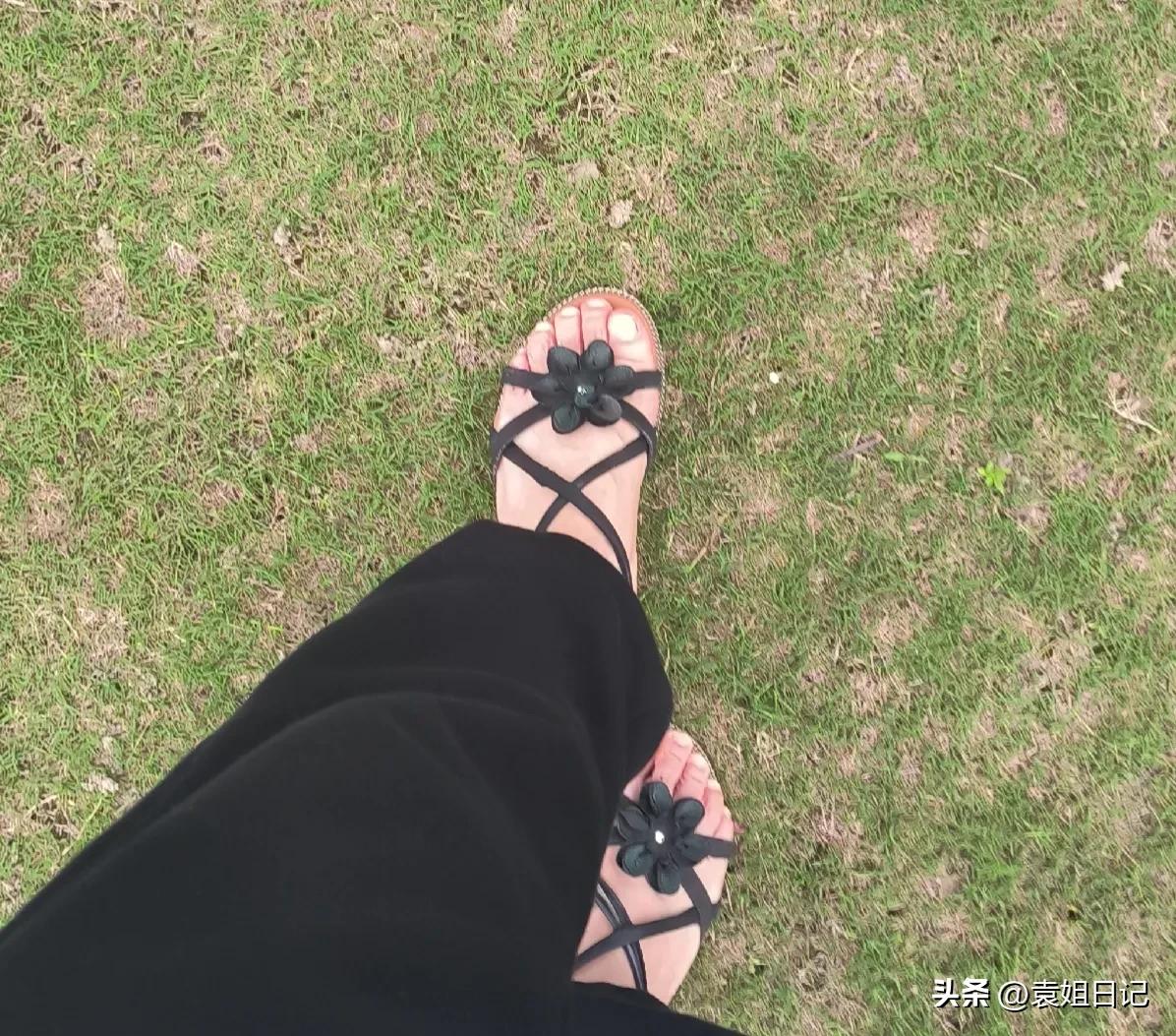 琚佸鐢熸椿鏃ヨ,琚佸鏃ヨ