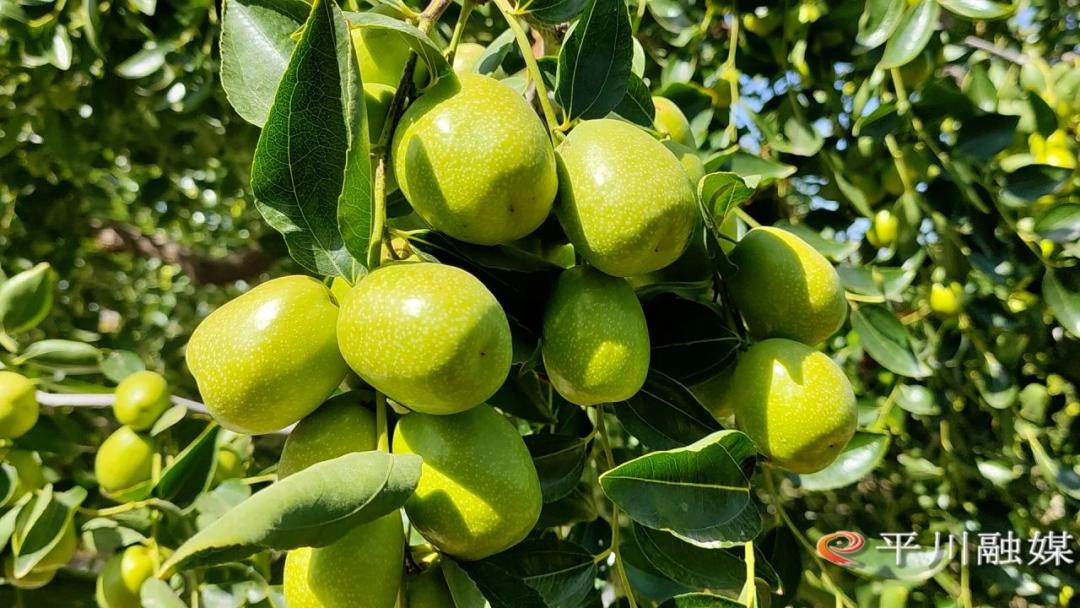 白银生态美景,白银大地山水