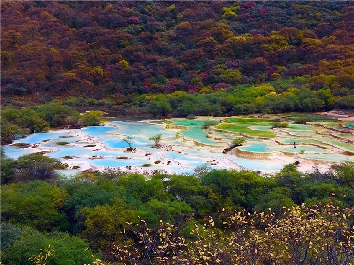 四川国旅第一分社,四川国旅成都高新第六分社地址