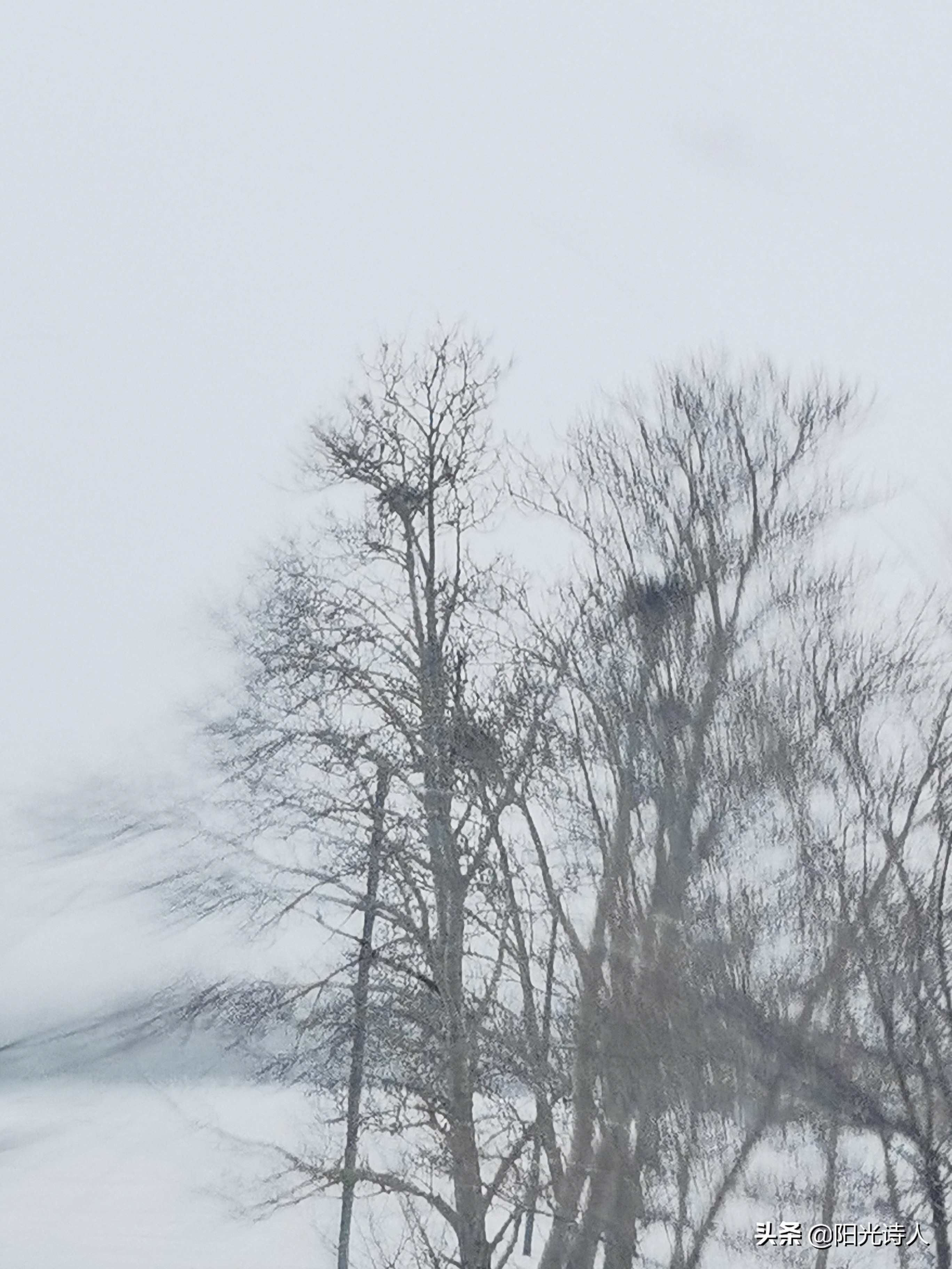 璧拌繘涔岄晣鍥剧墖,璧拌繘杩欓噷蹇冧腑鍏呮弧鏁晱