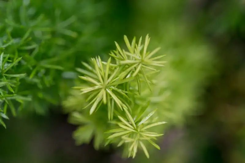 宾得新款16-50评测,宾得镜头18-135样片测评