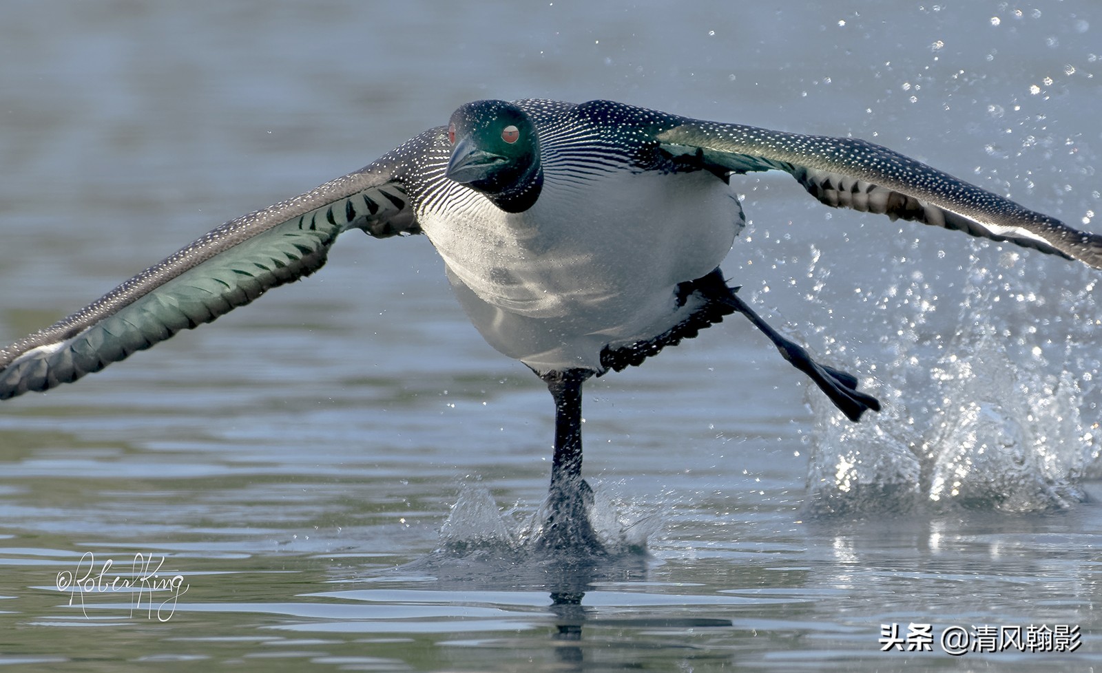 尼康d850拍照有多强,摄影器材篇尼康d850