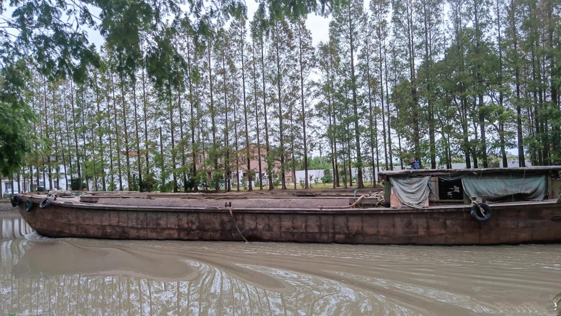 上海浦东稻田,浦东新区稻田风光美如画