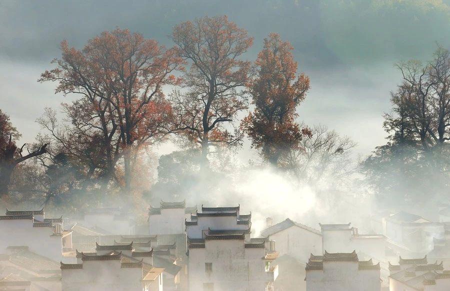 江西婺源三天两晚游最美景点,冬日婺源2天一夜旅游攻略