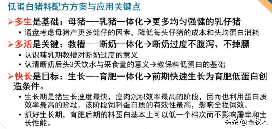 万建美博士:母仔一体化低蛋白猪料配方方案的设计与应用关键