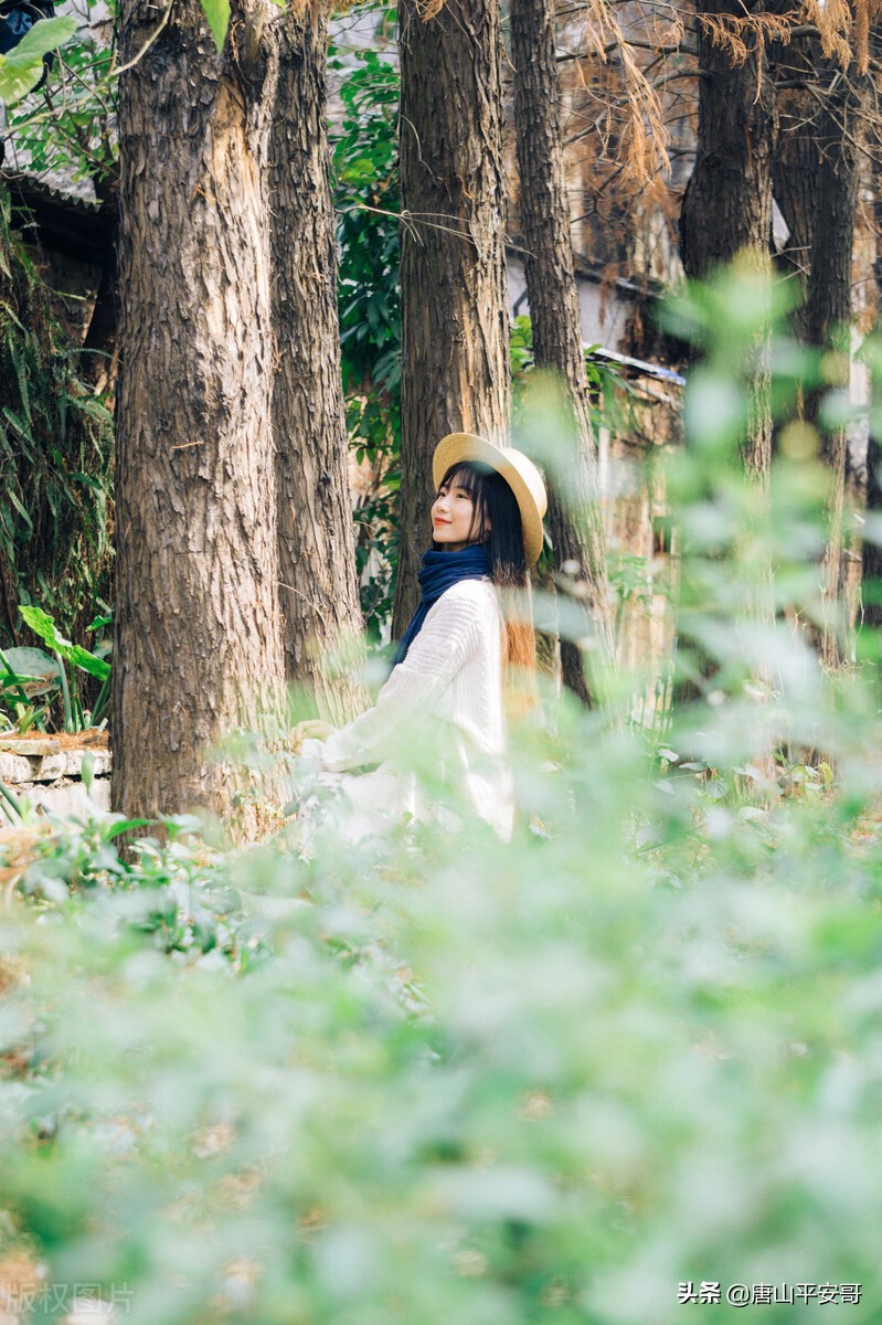 瀹犵埍鍚堝敱灏忓皬骞寸邯,瀹犵埍灏忓皬