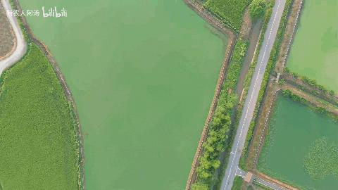 如何利用互联网+打造现代农业,现代化农业种植新模式