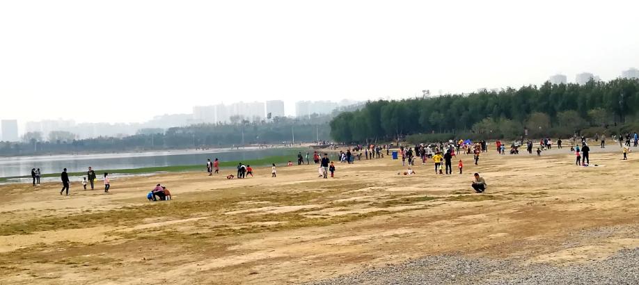 郑州赏花游玩推荐景点,郑州踏青旅游攻略