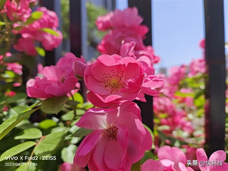 vivoxfold2人像方面评测,vivoxfold2为什么叫全能旗舰