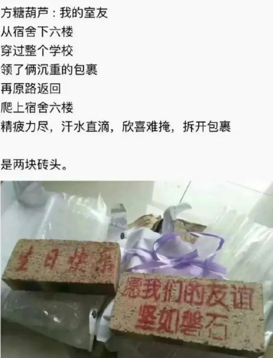 今日笑话原版,蚂蚁大象青藏高原笑话