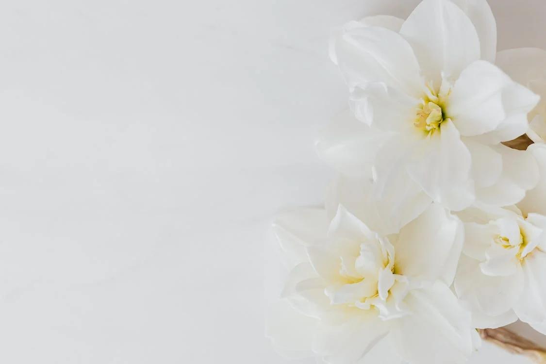 你觉得送花的意义是什么,一直想不明白送花有什么意义