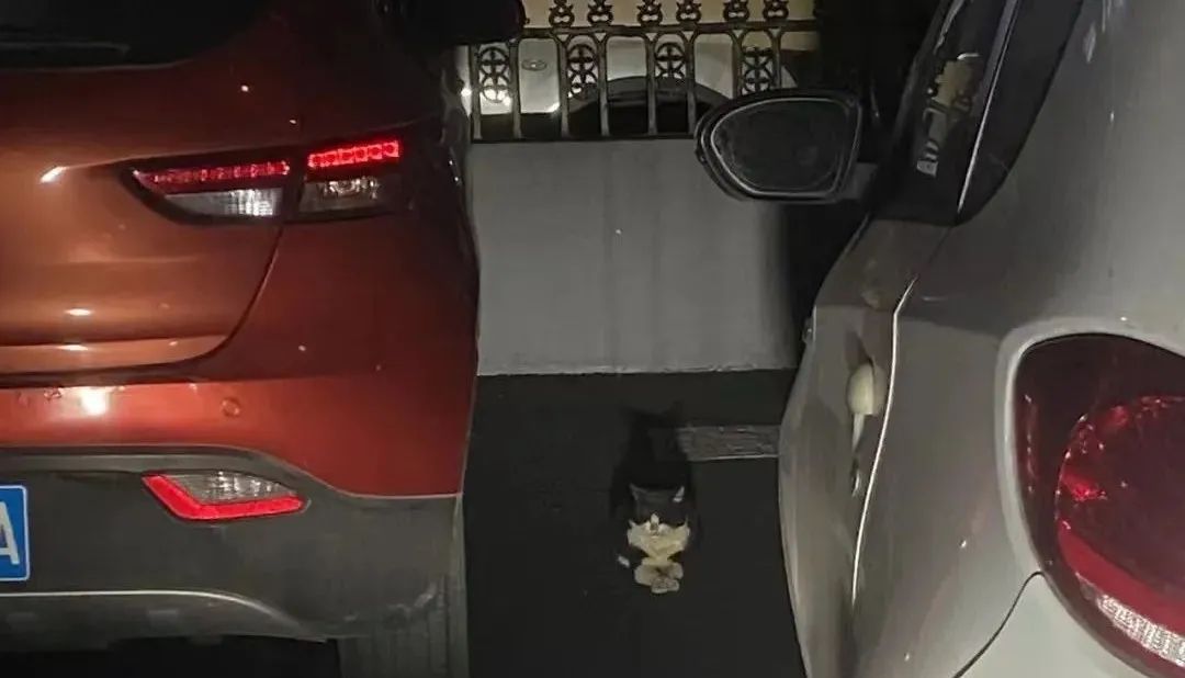 天啊,在网上刷到了前老板的送外卖日记#X351