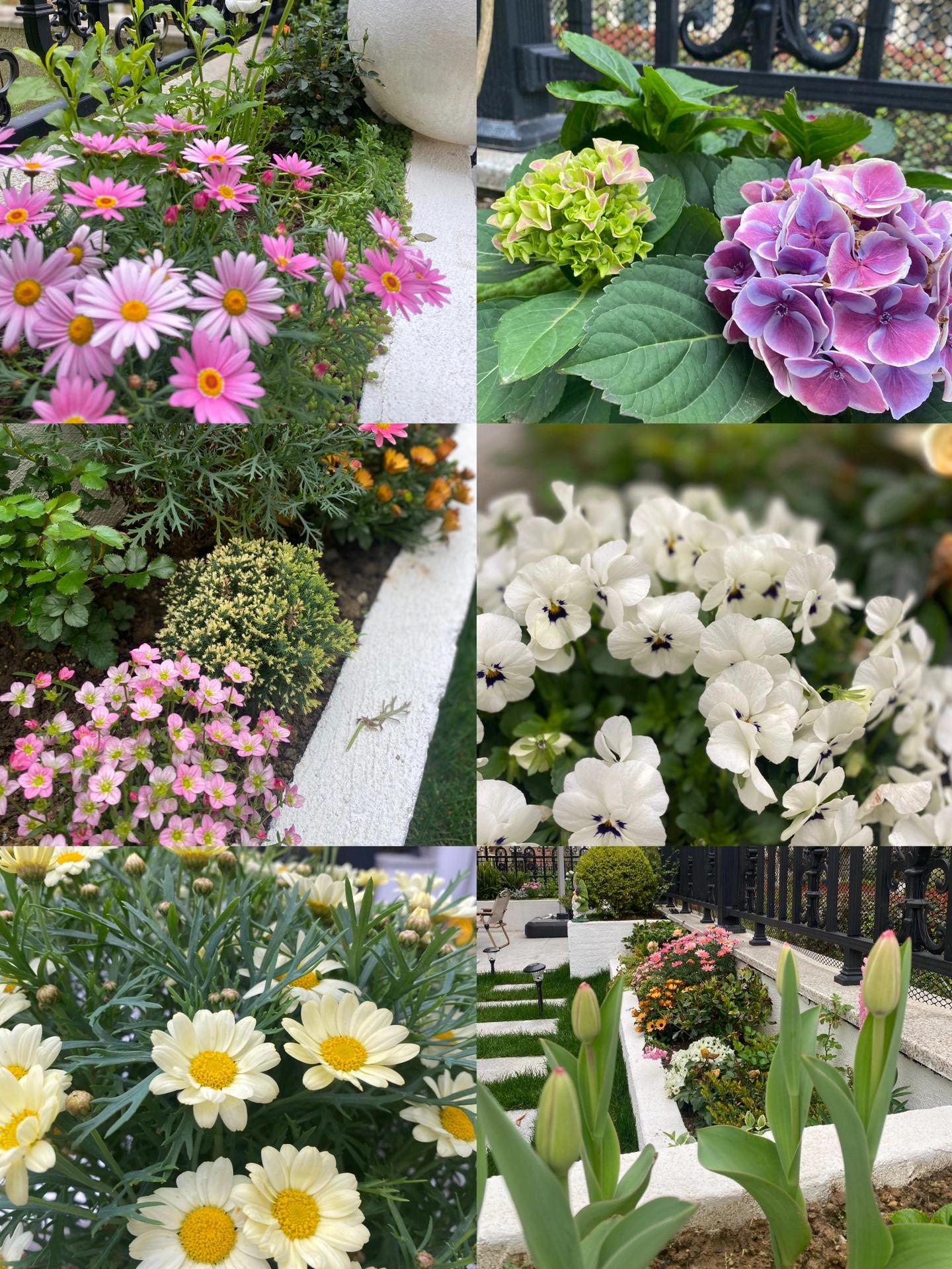 一楼小院简易小花园,100平米小院简单改造图