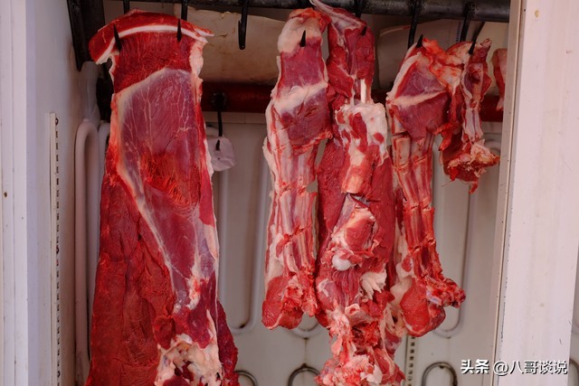 哥斯达黎加必游景点有哪些,哥斯达黎加风景