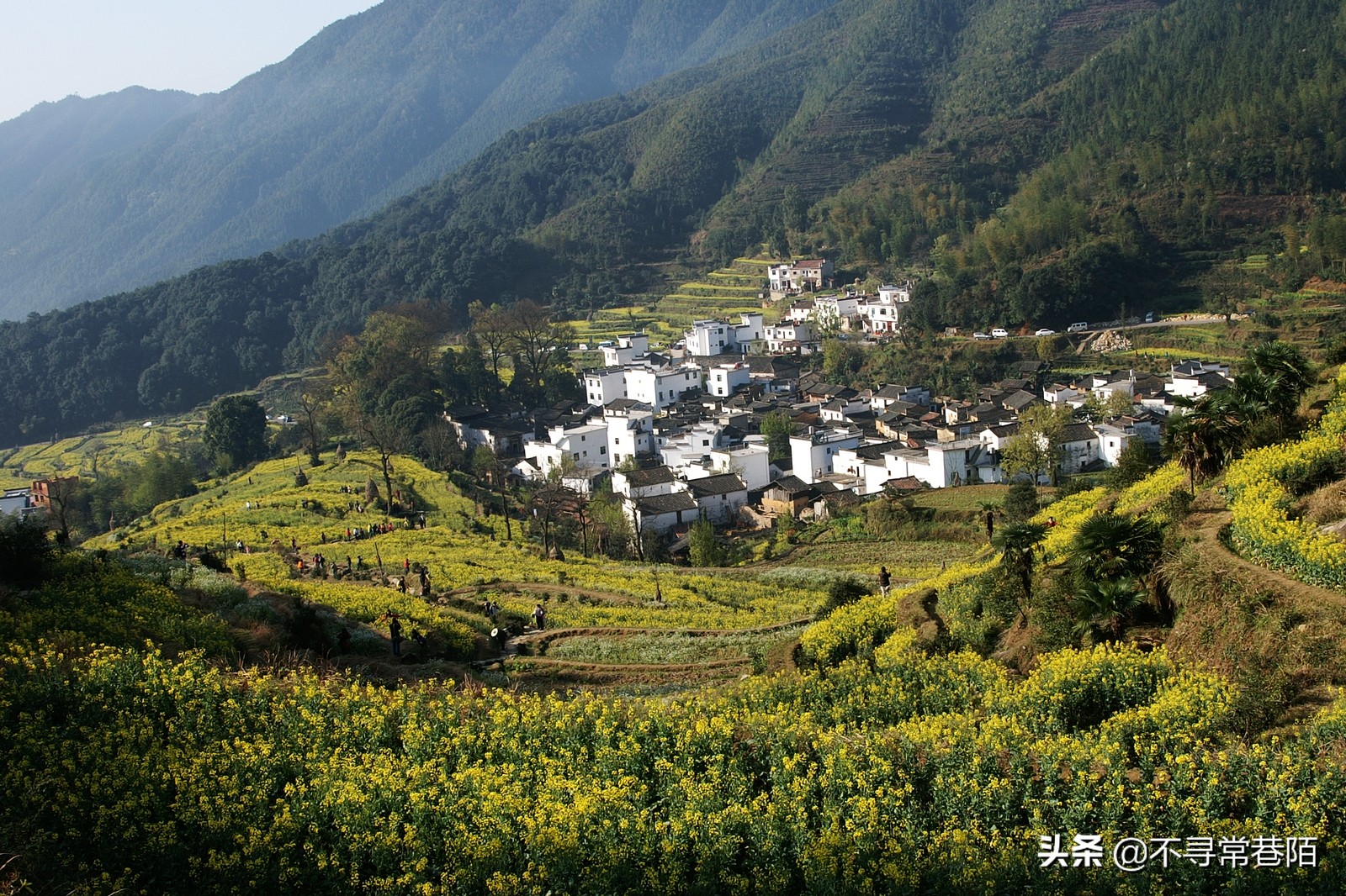 这里有许多历史悠久的古镇,从历史中走来的古镇