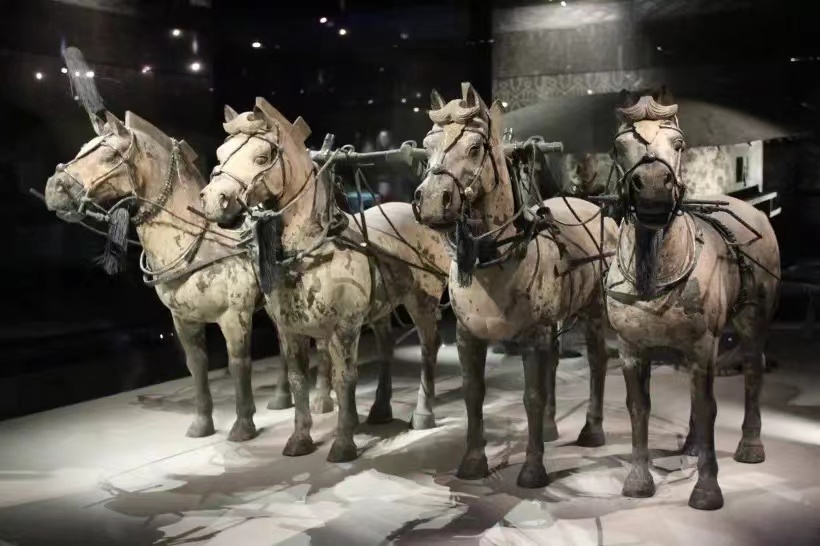 看兵马俑回味历史人物,致敬经典秦兵马俑